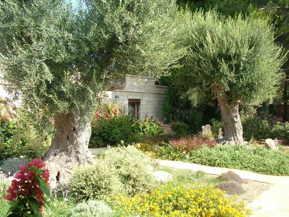 Villa Urania Torre San Giovanni Ugento Bagian luar foto